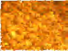 Widmanstaten (ferit yang sejajar) dan butiran perlit (berwarna gelap). Ferit Widmanstaten menurunkan keuletan/ketangguhan. Gambar IV.27 Struktur mikro pada plat nomor 2 (Perbesaran 400x) 2.