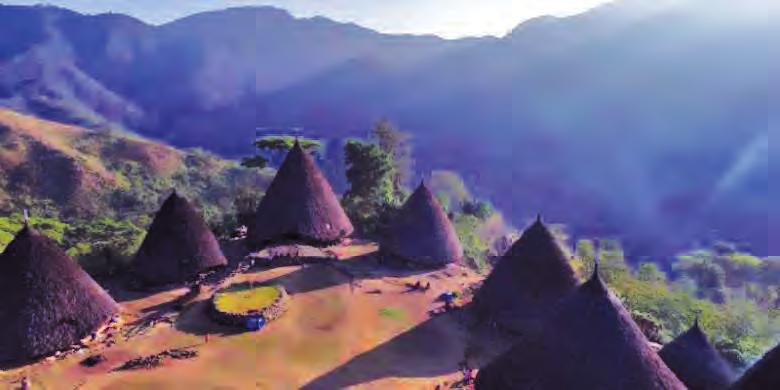 Di wilayah Kabupaten Manggarai terdapat sebuah kampung adat bernama Waerebo. Waerebo terletak di sebuah lembah di barat daya kota Ruteng.