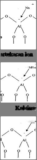 ammoniumm klorida (NH 4 Cl) dengan kation natrium
