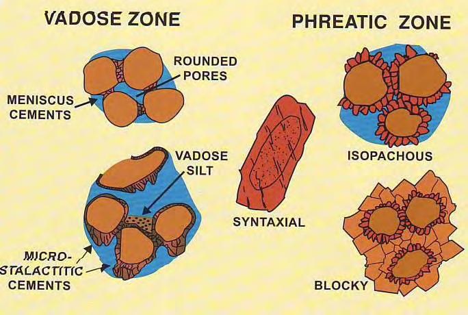 Gambar 4.3 Morfologi semen yang dominan pada lingkungan vadose zone dan phreatic zone (Scholle dan Ulmer-Scholle, 2003).