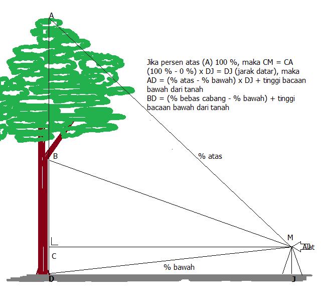 (% atas - % bawah ) x jarak datar Dimana: % atas = pembacaan pada titik cabang pertama pohon jika yang dihitung tinggi bebas cabang, dan atau pada pucuk tertinggi pohon jika yang dihitung tinggi