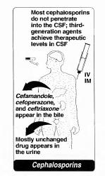 Farmakokinetik 1. Absorbsi : pemberian po absorbsinya buruk sebagian besar diberikan iv atau im 2.