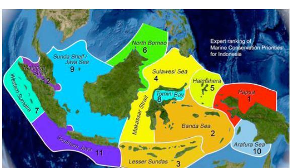 Gambar 3 Seascapes di Perairan Indonesia Secara lebih spesifik menurut hasil evaluasi dari 16 (enam belas) ahli dari dalam dan luar negeri mengenai bentang laut Indonesia, dapat disimpulkan bahwa