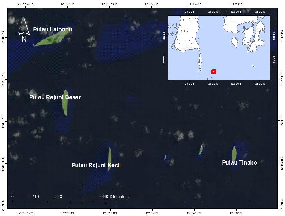 Studi Populasi Ikan Napoleon..di Kepulauan Selayar, Sulawesi Selatan (Rudi, A & Y.