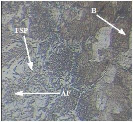 plate (FSP), grain boundary ferrite (GBF), dan bainit (B).