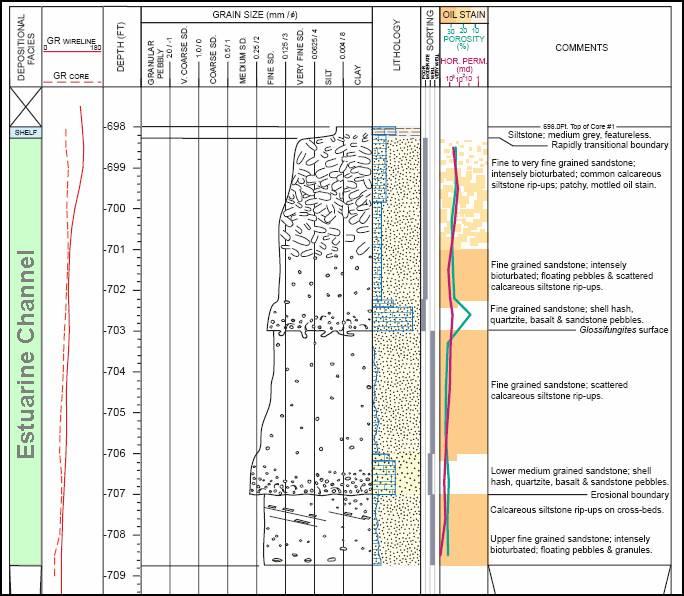 Gambar III. 3. Hasil deskripsi inti batuan pada sumur RantauBais#41 pada interval 698 707,8 kaki.