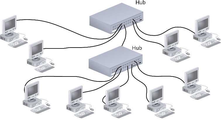 Star-Wired Bus Jaringan Backbone: Serial Backbone Seri perangkat terkait Hub dan switch sering terhubung dalam bagian dari jaringan untuk