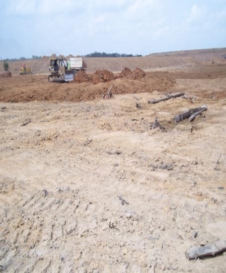 A B Gambar 4 Lahan yang digunakan untuk direct seeding, (A) Penataan lahan inpit dump, (B) Lahan yang siap untuk direct seeding, sudah dilakukan penaburan top soil.