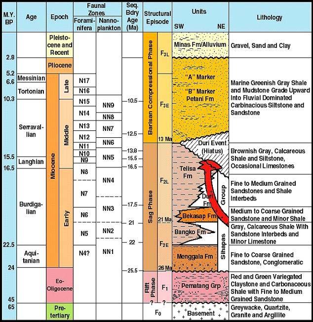 II.2 Stratigrafi Regional Stratigrafi regional Cekungan Sumatera Tengah tersusun dari beberapa unit formasi dan kelompok batuan dari yang tua ke yang muda, yaitu batuan dasar (basement), Kelompok