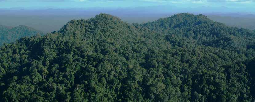 Pembangunan Kesatuan Pengelolaan hutan (KPH) Konsep, Peraturan Perundangan dan Implementasi SEJARAH RINGKASAN Pentingnya memastikan kawasan hutan yang aman dan bebas konflik adalah mimpi setiap