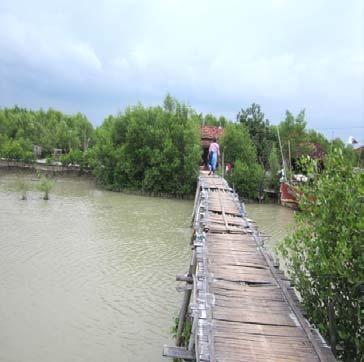 jembatan kayu.