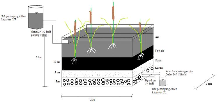 Jurnal Teknik Lingkungan UNAND 11 (2) : 88-95 (Juli 2014) Shinta Elystia dkk Tumbuhan Typha (cattails) merupakan vegetasi lahan basah yang memiliki banyak manfaat.