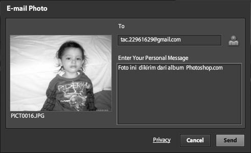 71 Mengirim Foto via Email Sebagai salah satu situs penyedia layanan komunitas foto online, Photoshop.