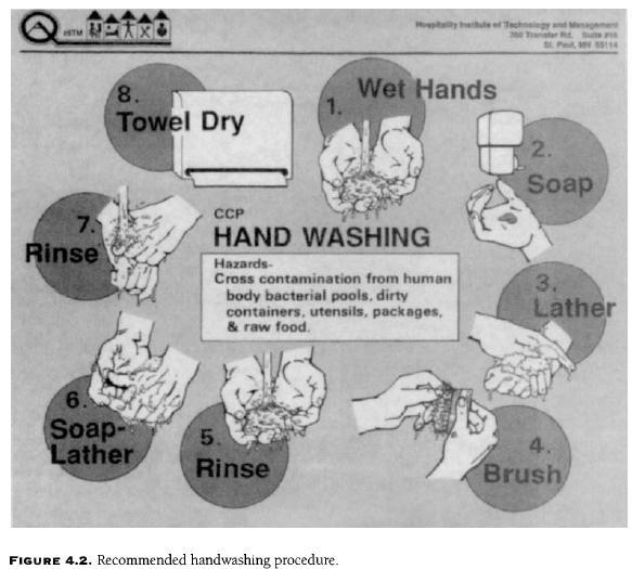 Pencucian tangan merupakan hal pokok yg harus dilakukan oleh pekerja yg terlibat dalam penangan pangan. Terbukti cukup efektif dalam upaya mencegah kontaminasi dalam makanan.