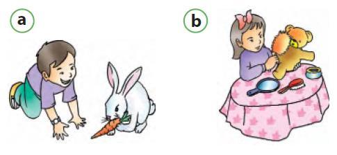 (a) Kelinci perlu makanan untuk hidup. (b) Boneka tidak memerlukan makanan.