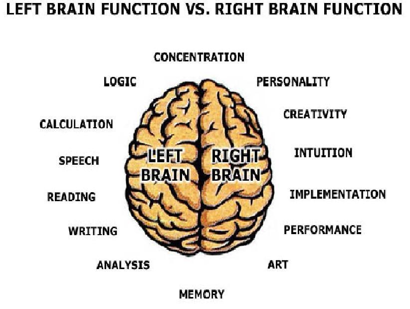 PERANAN OTAK TERHADAP PERILAKU MANUSIA Selain itu, otak kiri berfungsi untuk mengawal aktiviti-aktiviti logikal dan akademik. Ia juga mengawal sensasi di bahagian kanan tubuh.