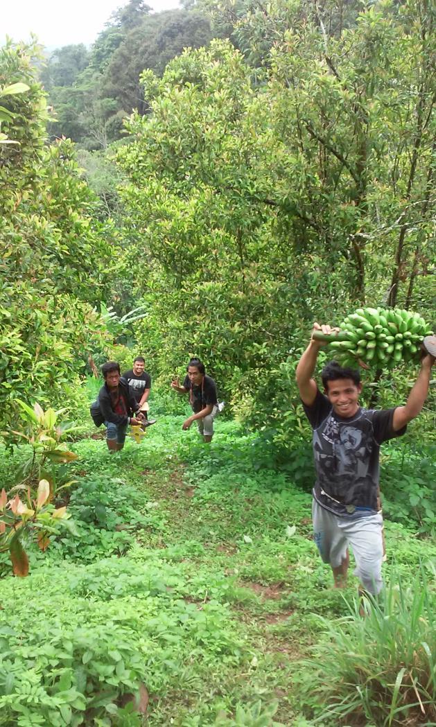 KESIMPULAN Di Bantaeng, 54% tumbuhan di lahan petani hadir karena faktor pengelolaan dan 46% lainnya berasal karena faktor alami Secara indeks, agroforestri mampu menyangga 72% keanekaragaman