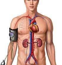 No 3.3 Aliran darah dalam tubuh diukur? Seorang dokter atau perawat dapat mendengar tekanan darah Anda dengan menempatkan stetoskop di arteri Anda dan memompa sabuk yang dilingkarkan di lengan Anda.