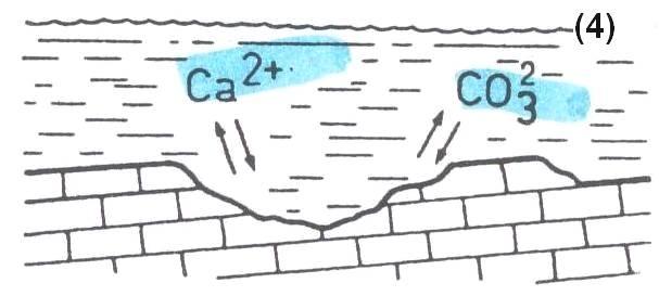(5) selanjutnya, CO 3 - bergabung dengan ion H + yang lepas pada reaksi (3) sehingga CO 3 2- + H + -------- HCO 3 - Untuk ilustrasi, proses (4) dan (5) disajikan pada Gambar 3.