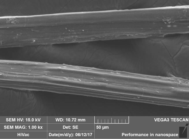 Gambar 4.2 merupakan hasil dari foto mikro dari serat kenaf bagian tengah. Pada penelitian sebelumnya yang dilakukan oleh Purwanto et al.