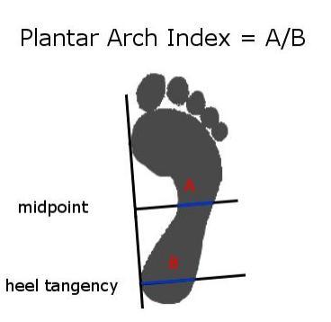 9 lebar regio sentral pedis (A) dan regio hind foot (B) dalam milimeter. Plantar arch index didapat dengan membagi A dengan B (PAI=A/B). 7 A B Gambar 3.