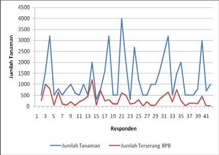 Risiko Kehilangan Hasil Lada Akibat Serangan Penyakit BPB Lada di Lampung Utara Penyakit BPB merupakan penyakit utama tanaman lada yang disebabkan oleh cendawan Phytophtora capsici.