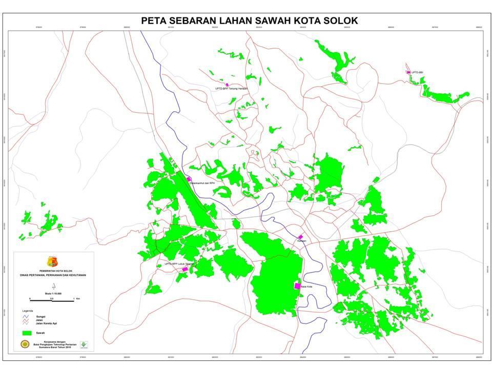 Solok dimanfaatkan untuk pertanian lahan sawah yang tersebar diseluruh kecamtan dan kelurahan yang ada dikota solok. Gambar 2. Peta Sawah Kota Solok Tahun 2013 Tabel 2.