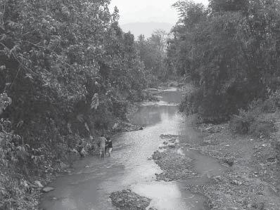 gian hulu, tengah dan hilir. b. Analisis pengaruh kondisi ekosistem darat Sungai Galeh dan Sungai Panjang terhadap Danau Rawa Pening. 2. Hasil dan Pembahasan 2.