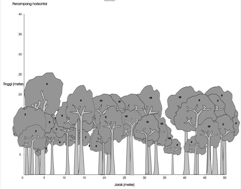 Keterangan: 1) Litsea, 9) Acalypha caturus, 2) Capparis micracantha, 10) Erythrina supitean, 3) Eugenia