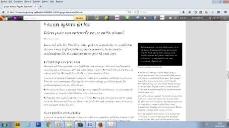 Gambar 11. Penerapan Custom typefaces Gorga Dalam Halaman Web Gambar 12.
