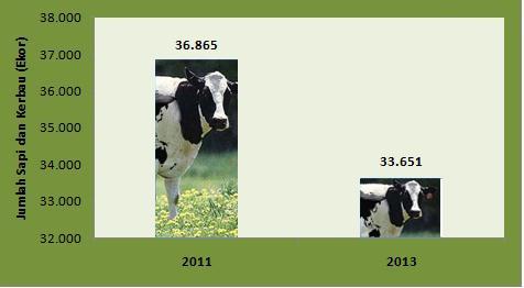 Sementara itu, dari hasil sensus pertanian 2013, populasi sapi dan kerbau mencapai 33.651 ekor.