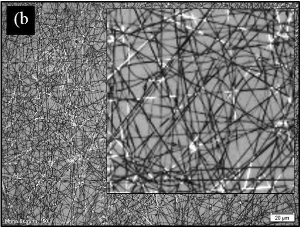 Morfologi permukaan membran serat nano dianalisis menggunakan optical microscope, ditunjukan pada Gambar 7. Pada Gambar 7a adalah gambar serat nano PVA/nanokitosan dengan konsentrasi % (PVA murni).