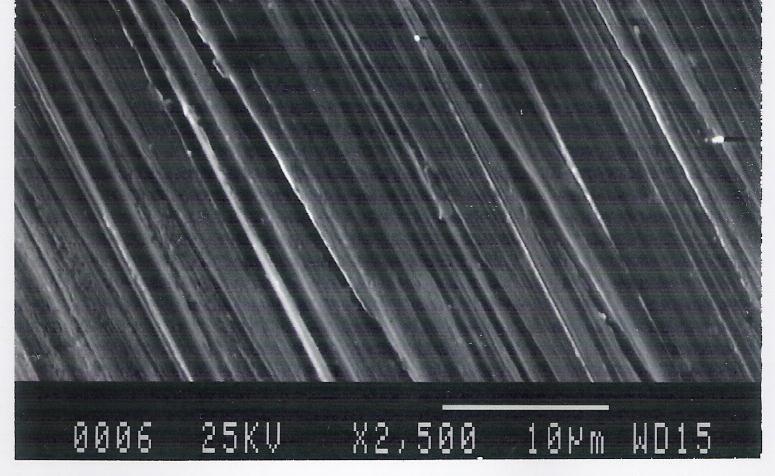 Mikrograf SS 316 hasil uji korosi.