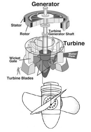 Victor Kaplan turbin ini dikembangkan sedemikian rupa sehingga sudu jalan turbin tersebut dapat diputar di dalam leher poros, dengan demikian sudut sudu dapat diatur sesuai dengan kondisi operasi
