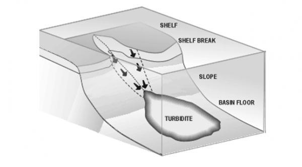 foraminifera makin sering ditemukan. Bidang sentuh dengan interval di bawahnya berangsur. Diatas lapisan ini sering ditemukan lapisan yang bersifat lempung napalan atau yang disebut lempung pelagik.