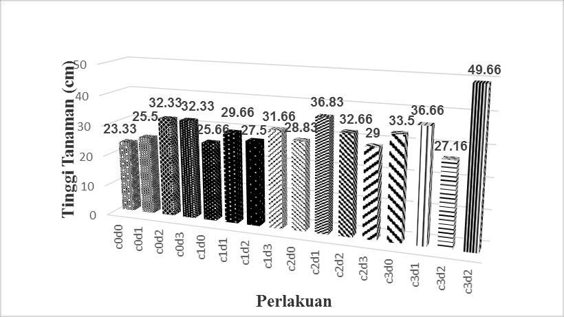 Gambar 1. Diagram batang rata-rata tinggi tanaman cabai rawit (Capsicum frutencens L.
