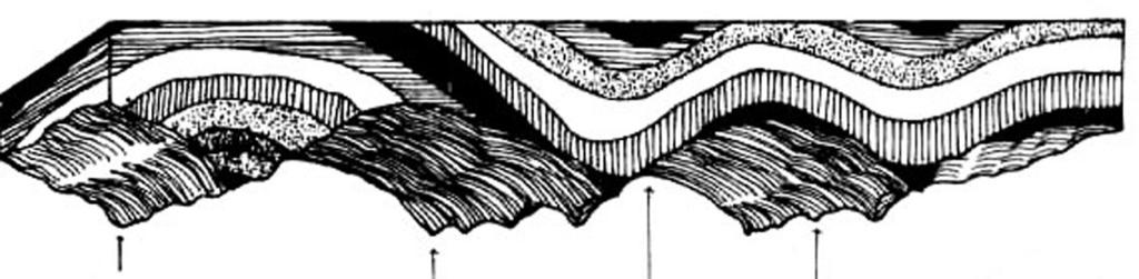 (Sumber: Ensiklopedia IPTEK) Ada kalanya sebuah lipatan besar mengalami pelipatan lagi sehingga antiklinalnya bergelombang meliputi: Sinklinorium ialah kumpulan sinklinal dalam sebuah lipatan