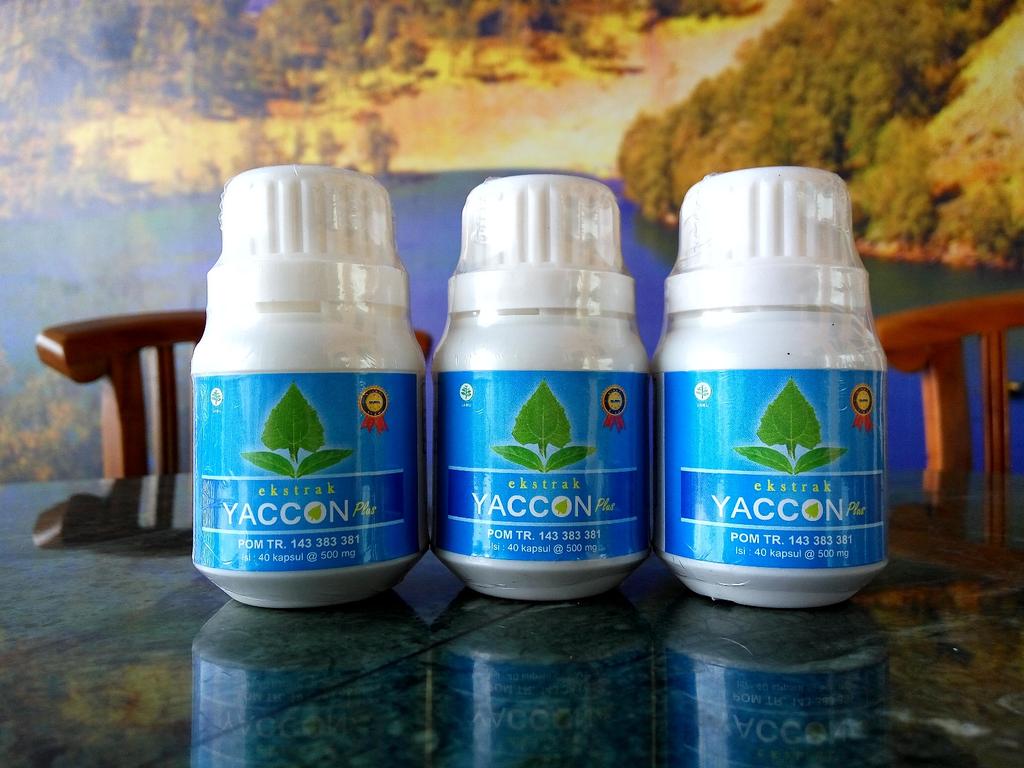 Ekstrak Yaccon Plus adalah Produk herbal ekstrak daun yakon yang dikemas dalam bentuk sediaan kapsul.