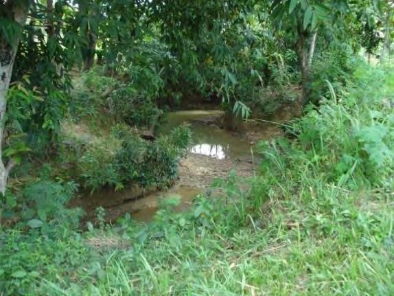 B T Foto 3.8. Kali Blimbing, menunjukkan sungai dewasa yang berkelok dan penyebaran endapan alluvial berapa pada point bar. 3.1.2.