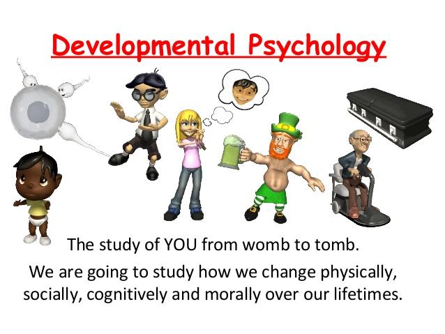 What do you think about Developmental Psychology 1?
