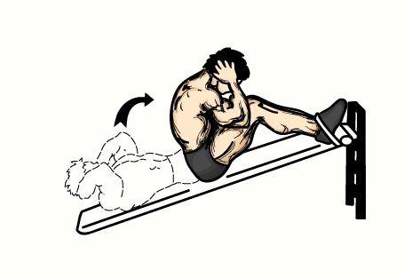 15 1. Sit-up Membuang Waktu anda! Otot perut, adalah seperti otot yang lainnya, ketika anda melatihnya, otot itu akan menjadi lebih kuat dan berotot.