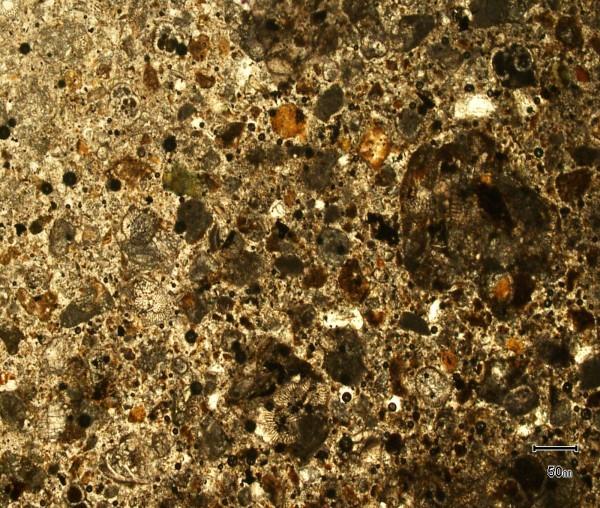 3. PACKESTONE Batuan Sedimen Tipe Struktur Klasifikasi Berlapis Dunham,1962 Kenampakan Mikroskopis Warna mineral kuning kecoklatan, warna interferensi abu- abu kecoklatan, tekstur grain supported,