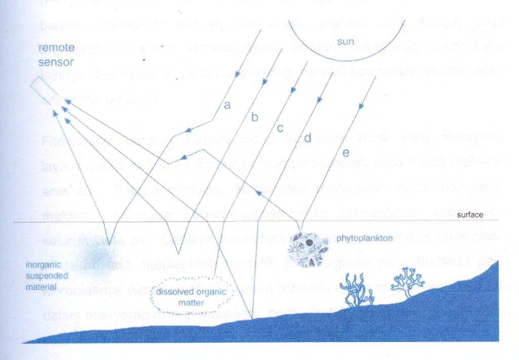 6 Sumber: Sathyendranath (2000) Gambar 1 Faktor-faktor yang mempengaruhi pantulan cahaya menuju sensor.