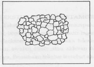 a. Hornfelsic/granulose Terbentuk oleh mozaic mineral-mineral equidimensional dan equigranular dan umumnya berbentuk polygonal. Batuannya disebut hornfels (batutanduk) b.
