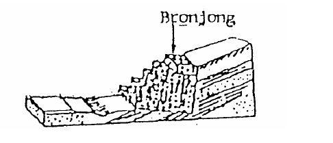 berat (gravity wall), semi gaya berat (Semi gravity) dan dinding pertebalan (Counterfort wall). Gambar 2.14 Dinding tembok penahan (Sumber : Buku petunjuk teknis & penanganan longsoran ) 6.