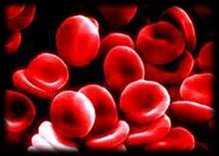 Penyakit 1. Anemia Penyebab : 1. Darah banyak keluar 2. Produksi sel darah merah menurun 3.