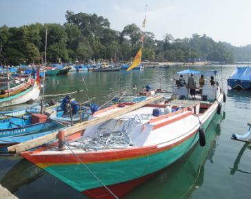 perairan sekitar Sendang Biru pada tahun 1997. Sejak saat itu, perikanan tonda mulai berkembang di Sendang Biru.
