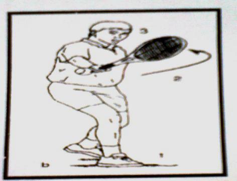 31 menyapu bola harus lengan seluruhnya (bagian atas dan bagian bawah) beserta raketnya, bukan lengan bagian bawah saja. Untuk lebih jelasnya bisa dilihat pada gambar berikut : Gambar 2.