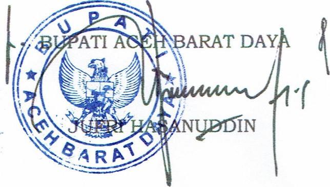 d. Fungsional Umum d. Petugas Meja Layanan Informasi 2. Kasi. Pengelolaan Informasi Publik pada Dinas Komunikasi, Informasi dan Persandian Kabupaten Aceh Barat Daya a.
