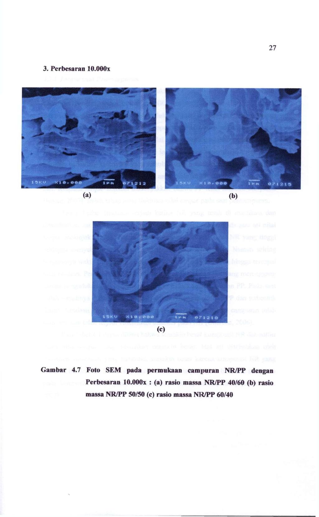 Gambar 4.7 Foto SEM pada permukaan campuran NR/PP dengan Perbesaran lo.